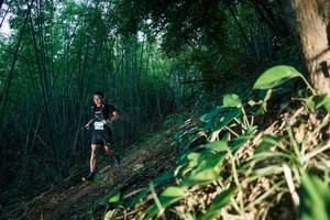 BIB: 
                            <button type="button" onclick="openModal(28123537)" class="btn btn-primary btn-sm float-right btn-popup" data-toggle="modal" data-target=".modal-high-quality">
                        <i class="fas fa-shopping-cart"></i> Add to Cart
                    </button>
                                            <button type="button" onclick="isThisMe(28123537, true)" class="btn btn-success btn-sm float-right btn-popup btn-isme hidden" data-toggle="tooltip" data-placement="bottom" title="นี่คือรูปของคุณใช่ไหม คลิกที่นี่เพื่อเอาเข้าอัลบั้ม">
                        <i class="fas fa-plus"></i> Add to album
                    </button>
                    <button type="button" onclick="isThisMe(28123537, false)" class="btn btn-warning btn-sm float-right btn-popup btn-isnotme hidden">
                        <i class="fas fa-ban"></i> Remove from album
                    </button>